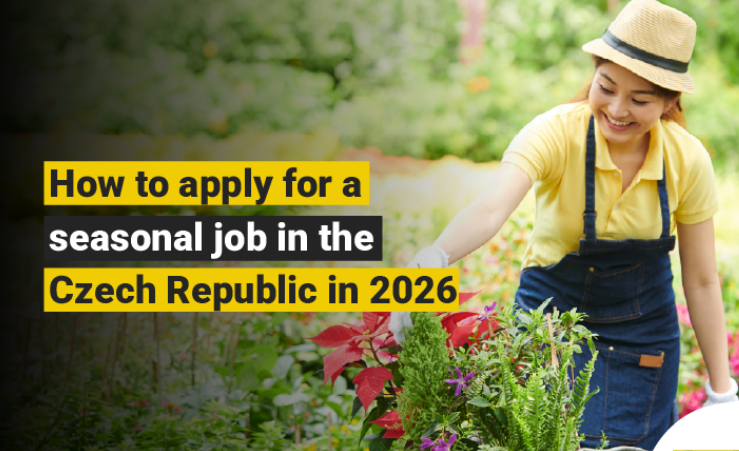 Jobs in Czech Republic 2026